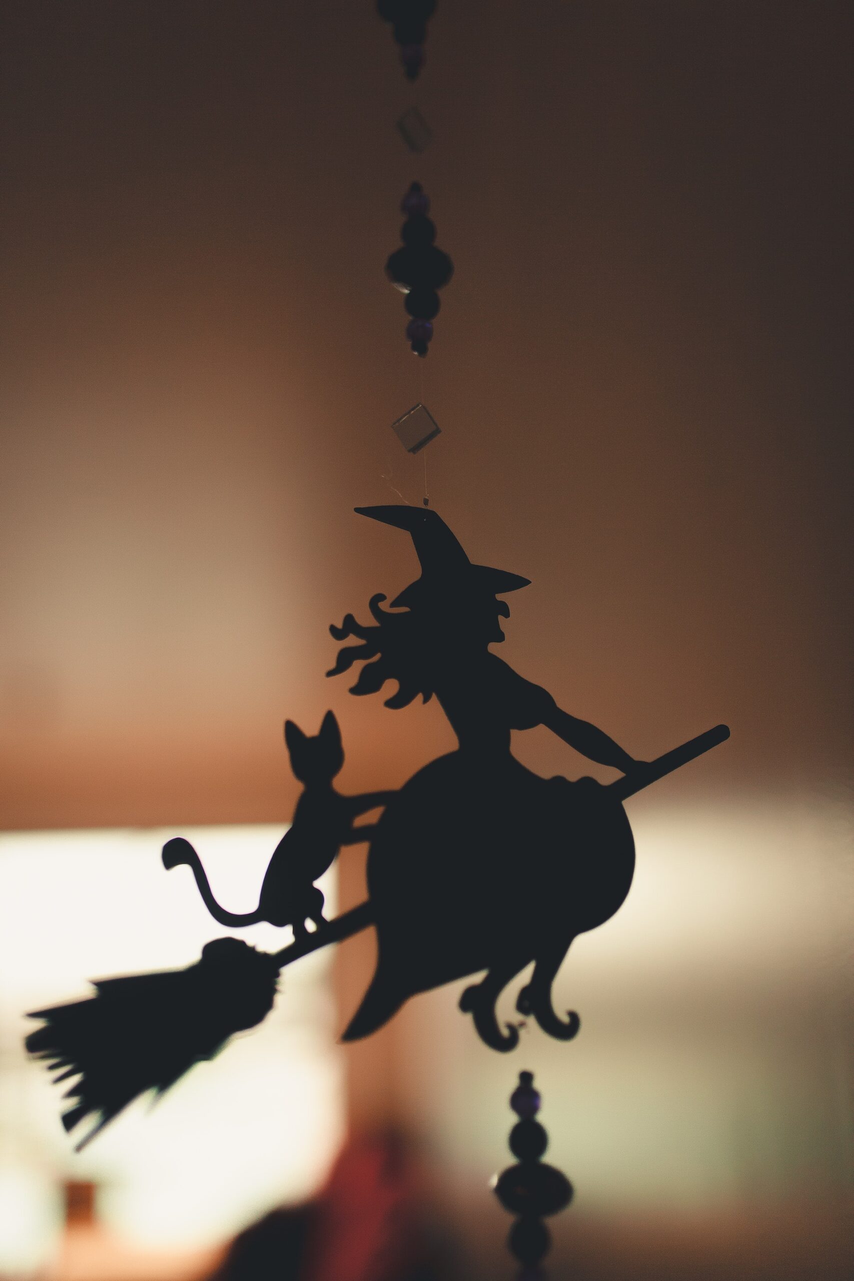 pexels-fabio-lange-6681822 Cat on broom with witch