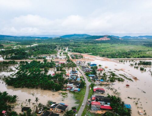 Resilience in the Face of Nature: How We Endure Natural Disasters – Ryan Parker – The Healing Mind Magazine