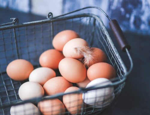 More Than Eggs, We’re Carrying the Weight – Ryan Parker – The Healing Mind Magazine