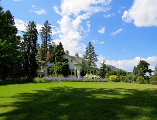 Clear Views, Clean Living: Why It Pays to Hire Pros for Window and Yard Care – Lilly Botto – The Healing Mind Magazine