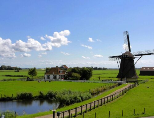 The Language of Dreams: Feeling at Home in a Place You’ve Never Been- Ryan Parker – The Healing Mind Magazine