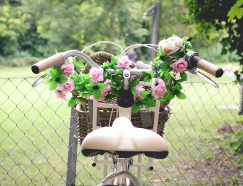 Vacation Without the Suitcase – By Mary Smith -The Healing Mind Magazine