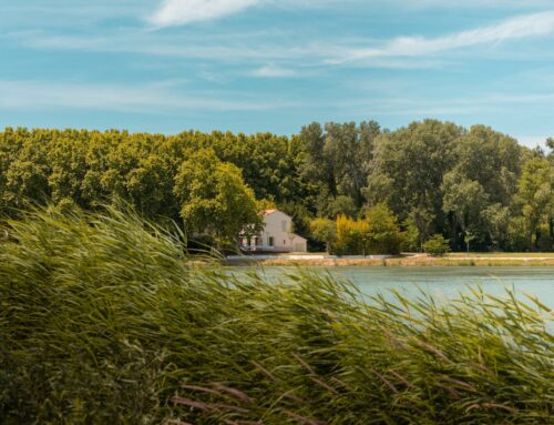 Carolyn’s French Adventure – By Mary Smith -The Healing Mind Magazine