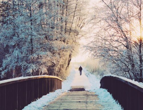 New Opportunities in 2026 – By Mariette Kammerer -The Healing Mind Magazine