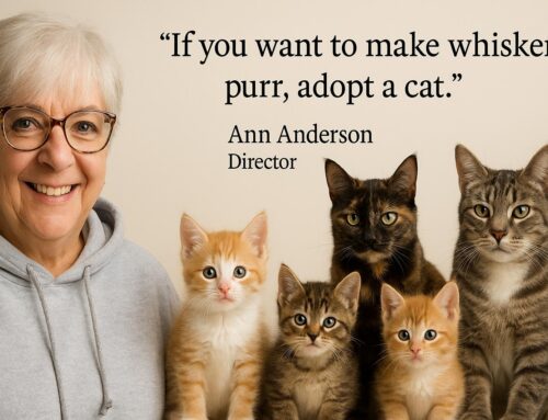 In The Neigborhood – Paws & Whiskers – By Mariette Kammerer -The Healing Mind Magazine