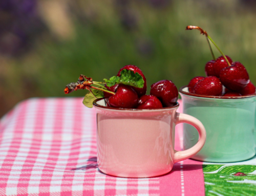 Making Memories 2026 – By Mariette Kammerer -The Healing Mind Magazine