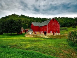 the farm